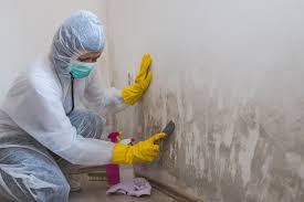 Trusted Myerstown, PA Mold Inspection Experts